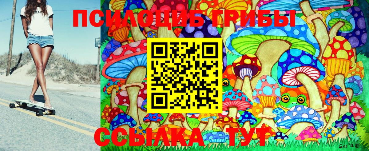Псилоцибиновые грибы GOLDEN TEACHER Похвистнево