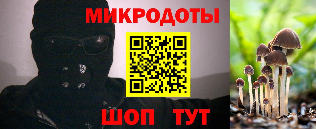 Галлюциногенные грибы Psilocybe  Вход с VPN  Похвистнево 